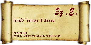 Szántay Edina névjegykártya